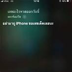 siri วันนี้หวยออกอะไร